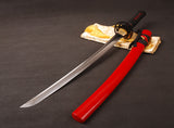 Japanese Samurai Sword Carbon Steel Wakizashi ESA207