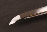 Japanese Samurai Sword Carbon Steel Wakizashi ESA207