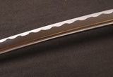 Japanese Samurai Sword Carbon Steel Wakizashi ESA201