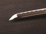 Japanese Samurai Sword Carbon Steel Wakizashi ESA201