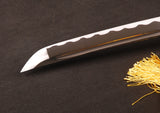 Japanese Samurai Sword Carbon Steel Wakizashi ESA202