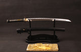 Japanese Samurai Sword Carbon Steel Wakizashi ESA203