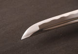 Japanese Samurai Sword Carbon Steel Tantō ESA304