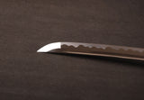 Japanese Samurai Sword Carbon Steel Katana ESA403