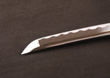 Japanese Samurai Sword Carbon Steel Wakizashi ESA204