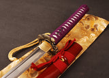 Japanese Samurai Sword Carbon Steel Katana ESA05