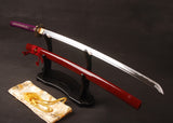 Japanese Samurai Sword Carbon Steel Katana ESA05