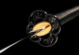 Japanese Samurai Sword Black Blade Katana SHIJIAN180603