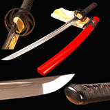 Japanese Samurai Sword Carbon Steel Wakizashi ESA207