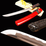 Japanese Samurai Sword Carbon Steel Tantō ESA300