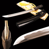 Japanese Samurai Sword Carbon Steel Tantō ESA304