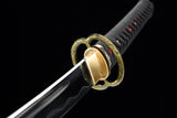 Japanese Samurai Sword Carbon Steel IAITO KATANA SHIJIAN190701