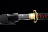 Japanese Samurai Sword Carbon Steel IAITO KATANA SHIJIAN190701