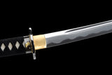 Japanese Samurai Sword Carbon Steel IAITO KATANA SHIJIAN190702