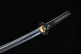 Japanese Samurai Sword High Carbon Steel IAITO KATANA SHIJIAN190705