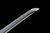 Japanese Samurai Sword High Carbon Steel IAITO KATANA SHIJIAN190705