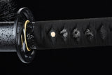 Japanese Samurai Sword High Carbon Steel IAITO KATANA SHIJIAN190706