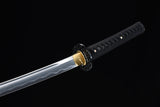 Japanese Samurai Sword Carbon Steel IAITO KATANA SHIJIAN190707