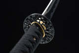 Japanese Samurai Sword Carbon Steel IAITO KATANA SHIJIAN190707