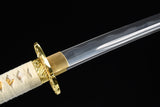 Japanese Samurai Sword Carbon Steel IAITO KATANA SHIJIAN190708