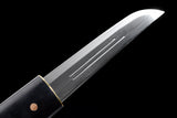 Japanese Samurai Sword Folded Steel Tantō SHIJIAN190803