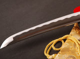 Japanese Samurai Sword Carbon Steel Tantō ESA300