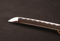 Japanese Samurai Sword Carbon Steel Wakizashi ESA203