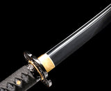 Japanese Samurai Sword Black Blade Katana SHIJIAN180603