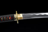 Japanese Samurai Sword Carbon Steel IAITO KATANA SHIJIAN190701