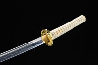 Japanese Samurai Sword Carbon Steel IAITO KATANA SHIJIAN190708