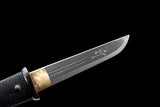 Japanese Samurai Sword Folded Steel Tantō SHIJIAN190805